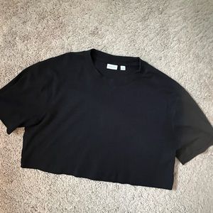 Aritzia Pegasus Cropped Tee